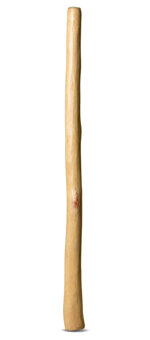 Medium Size Natural Finish Didgeridoo (TW792)